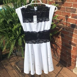 Bebe Lace panel midriff fit and flare dress XS